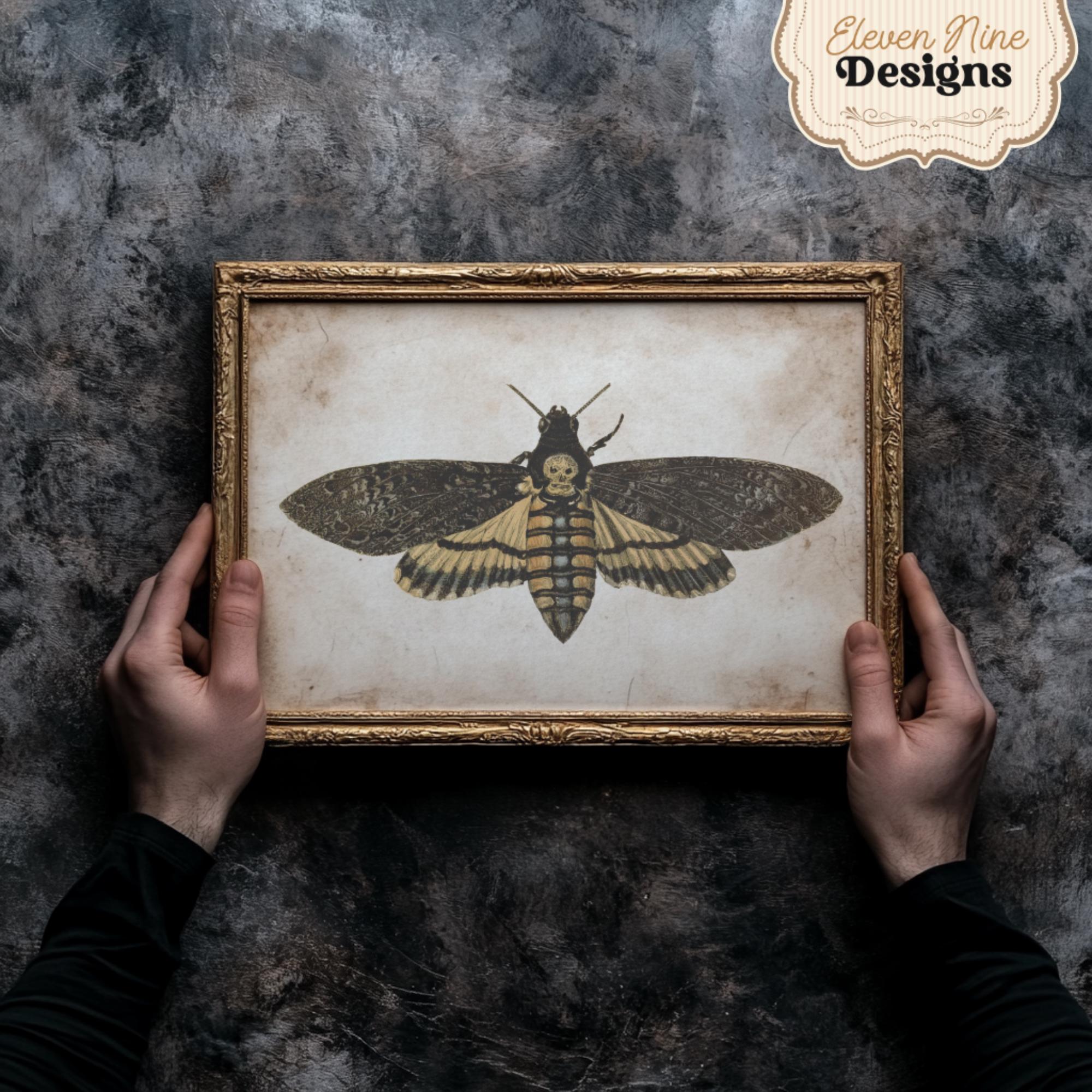 油絵　蛾 蛾のプリント、蛾のアートプリント、蛾の羽、蛾の本のページ、蛾の絵