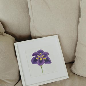 Iris Flower Clipart, Japanese Iris Flower, Purple Flower Digital Download, Vintage Botanical Illustration Print, Iris Purple Flower PNG image 4