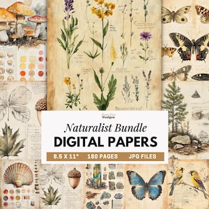 May include: A digital paper bundle featuring vintage-style illustrations of mushrooms, wildflowers, butterflies, leaves, acorns, shells, minerals, and birds on aged parchment backgrounds with the text Naturalist Bundle DIGITAL PAPERS 8.5 X 11 180 PAGES JPG FILES.