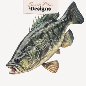 Fish Clipart, Bass Clipart, Fish Digital Download, Fishing Clipart, Large Mouth Bass PNG, Fish PNG, Vintage Fish Illustration Art
