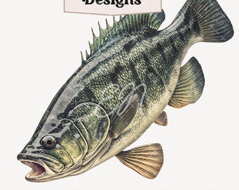 Imágenes prediseñadas de peces, imágenes prediseñadas de lubina, descarga digital de peces, imágenes prediseñadas de pesca, lubina de boca grande PNG, peces PNG, arte de ilustración de peces vintage