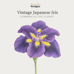 Imágenes prediseñadas de flor de iris, flor de iris japonesa, descarga digital de flor morada, impresión de ilustración botánica vintage, flor de iris morada PNG