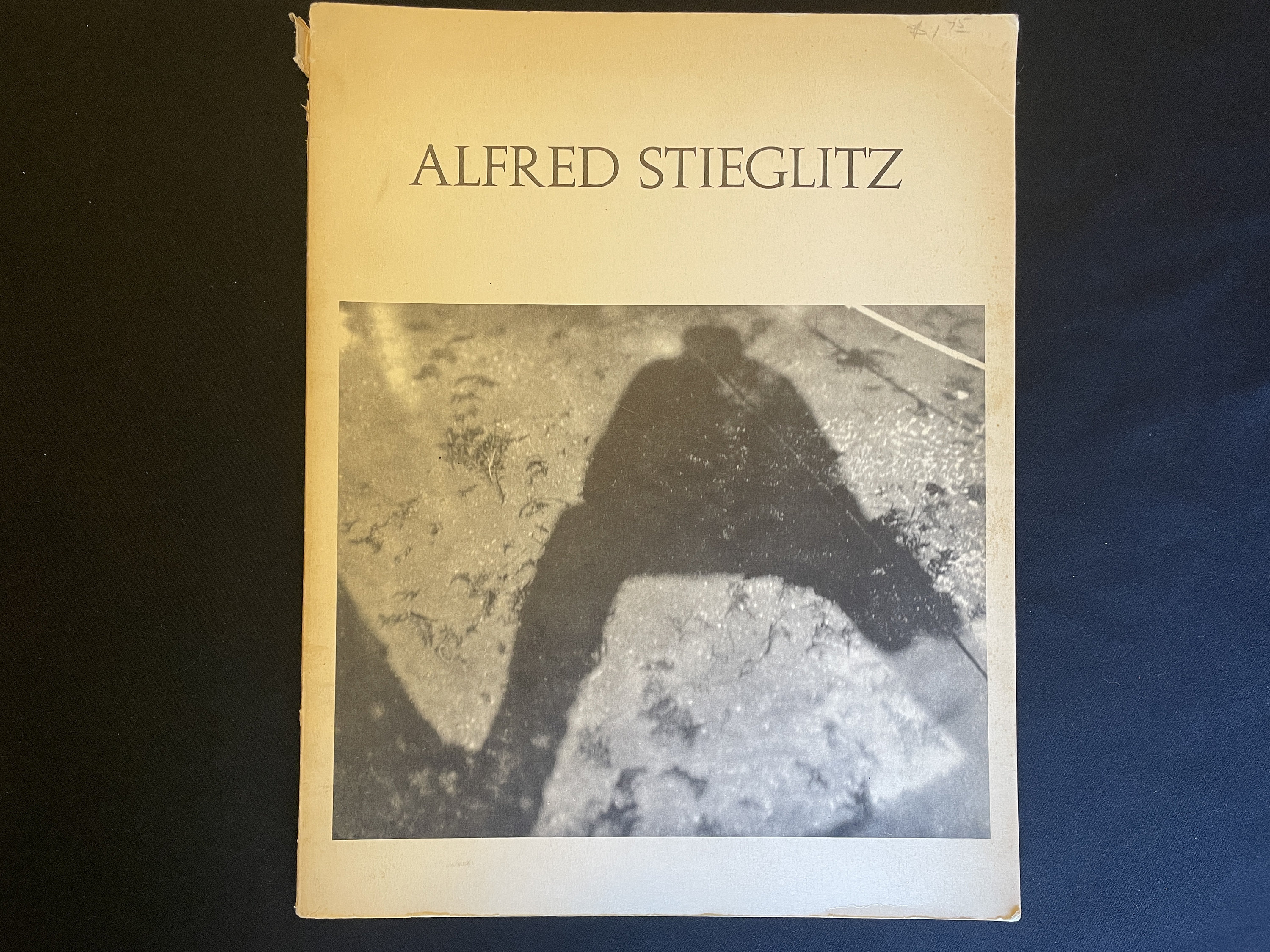 洋書 ALFRED STIEGLITZ Alfred Stieglitz, New York | All Works | The MFAH Collections