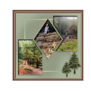 May include: A collage of nature scenes featuring a woman sitting on a rock, a forest path with a wooden bridge, a waterfall in a wooded area, and two pine trees.