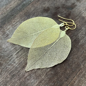 Real leaf earrings, 24K Gold leaf earrings dangle, Boho earrings, Gold drop earrings, Statement earrings, Veined leaves, Unique gift for her image 1