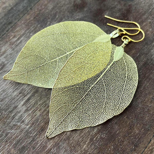 Real Leaf Earrings: Gold Dangle Boho Earrings, Statement Veined Leaves