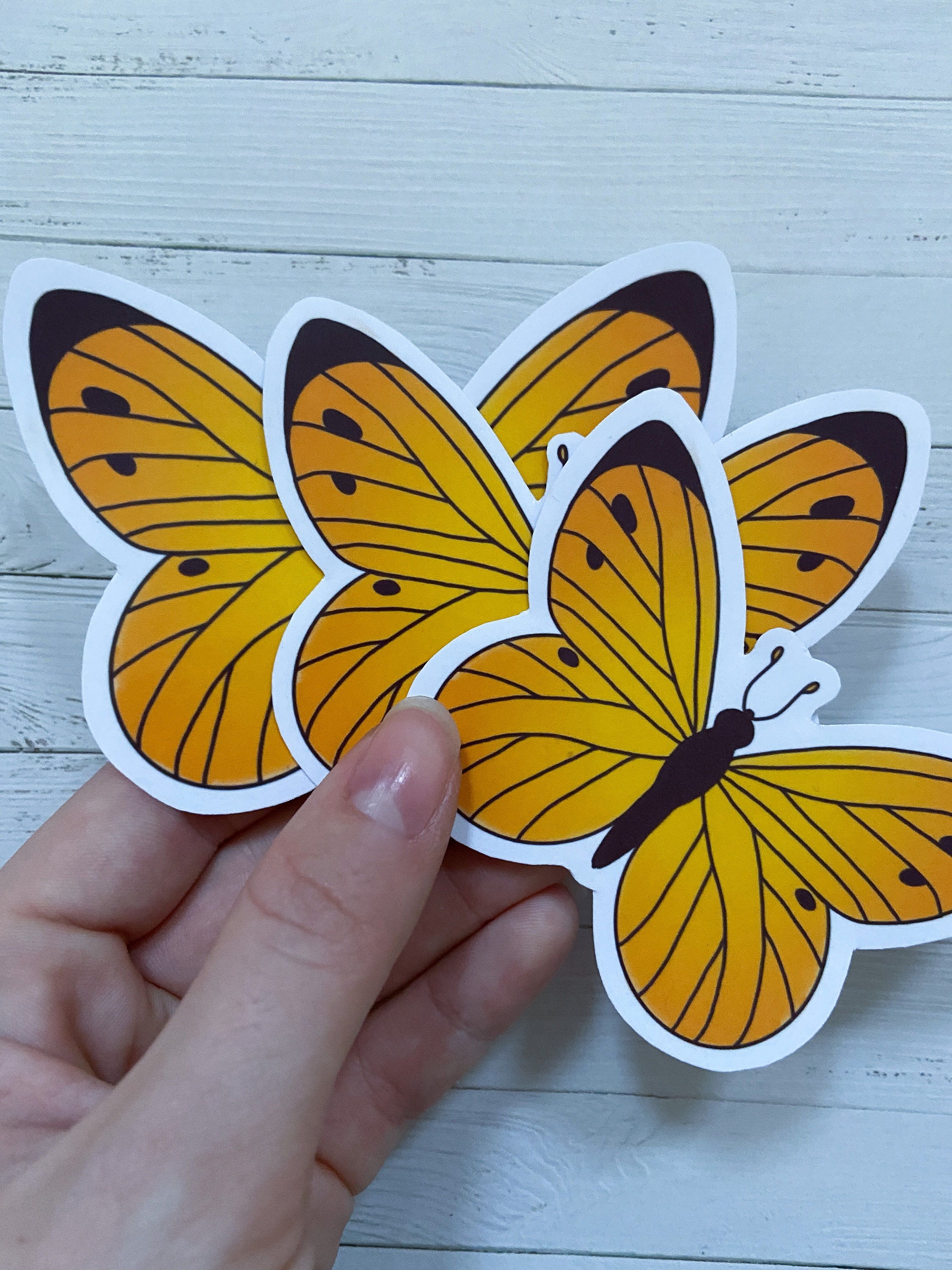 Butterfly Side Sticker Butterfly Sticker 3 Pieces Pack | Colorfull Butterflies | Big Stickers ...