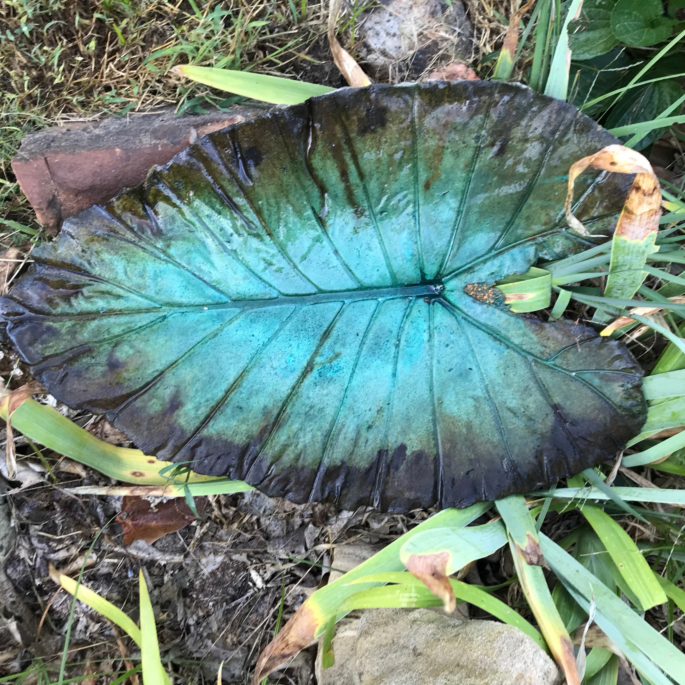 Concrete Elephant Ear Bird Baths Etsy