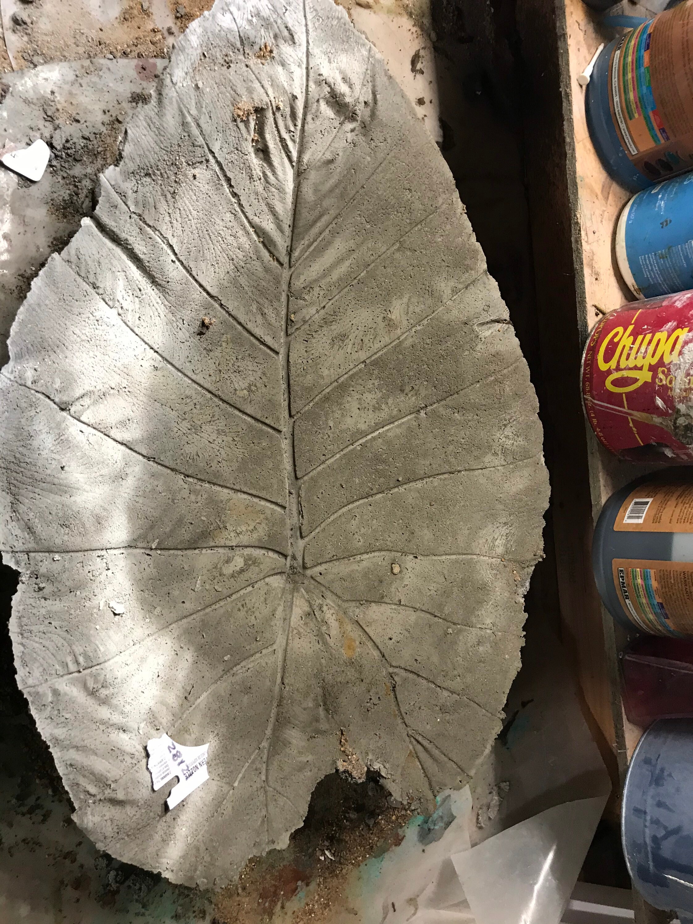 Concrete Elephant Ear Bird Baths Etsy