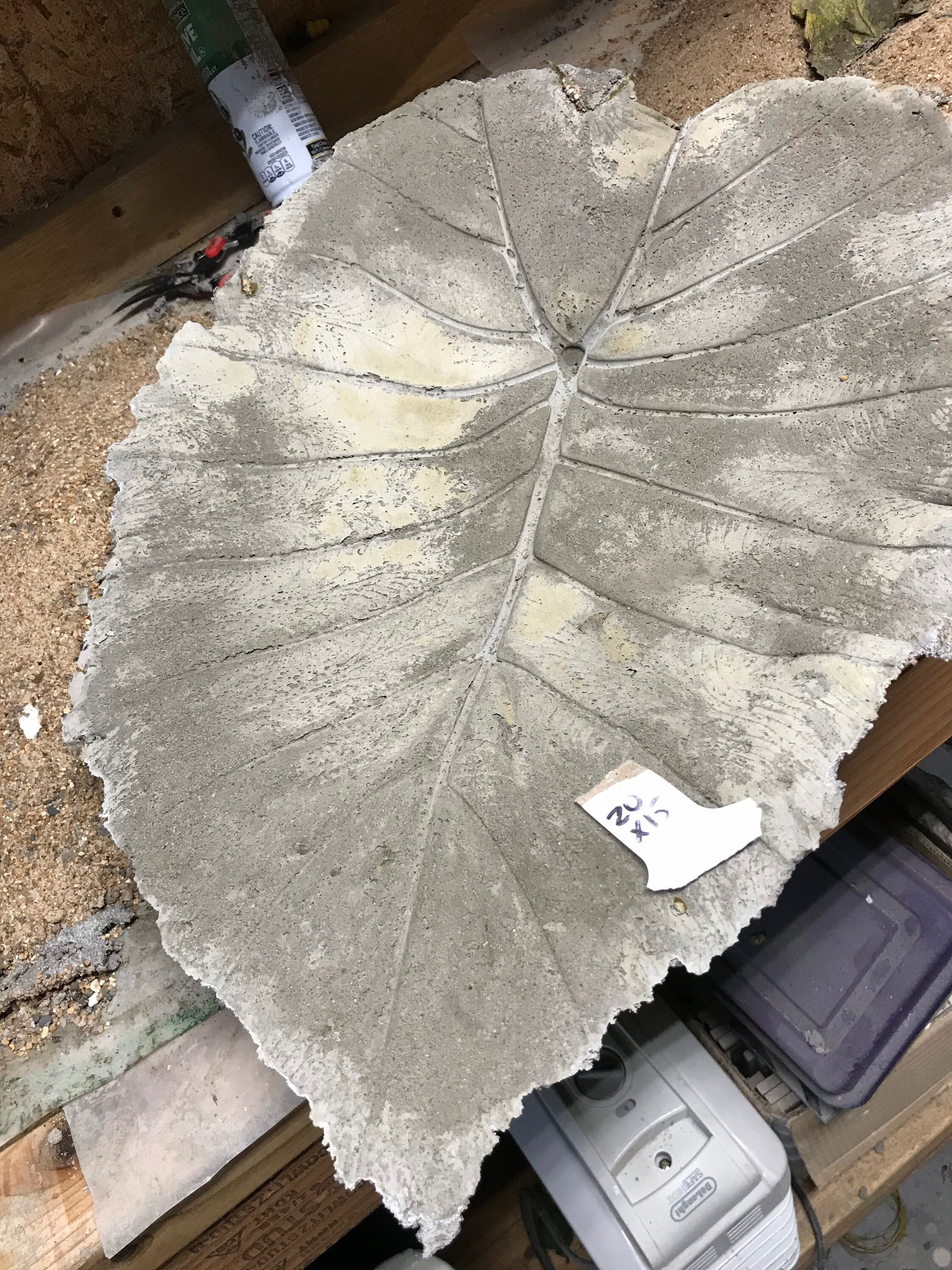 Concrete Elephant Ear Bird Baths Etsy