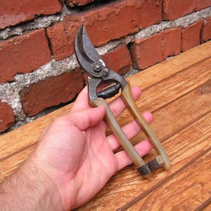 Cisailles de jardin Outils de jardinage Outils de jardinage Cisailles de jardinage Outils à main pour décoration industrielle Métal rouillé Outils rouillés Sécateur pour horticulture