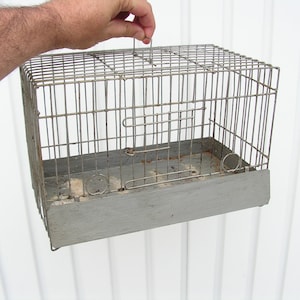 Antique wire cage, Bird cage with one doors, Hand made wire cage, Can be placed on wall, Bird wire house, Fermhouse garden decor