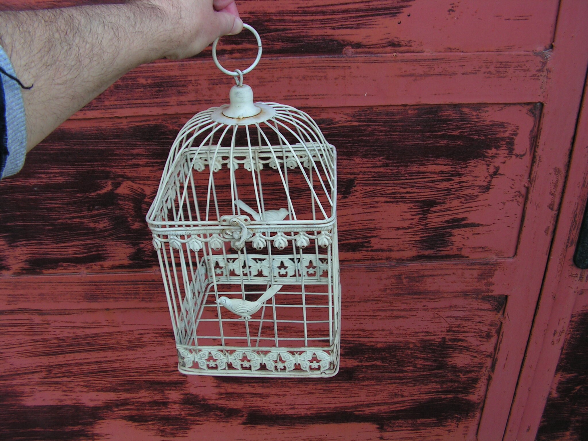 Vintage White Iron Wire Bird Cage, Handmade Rustic Garden Decor - Etsy
