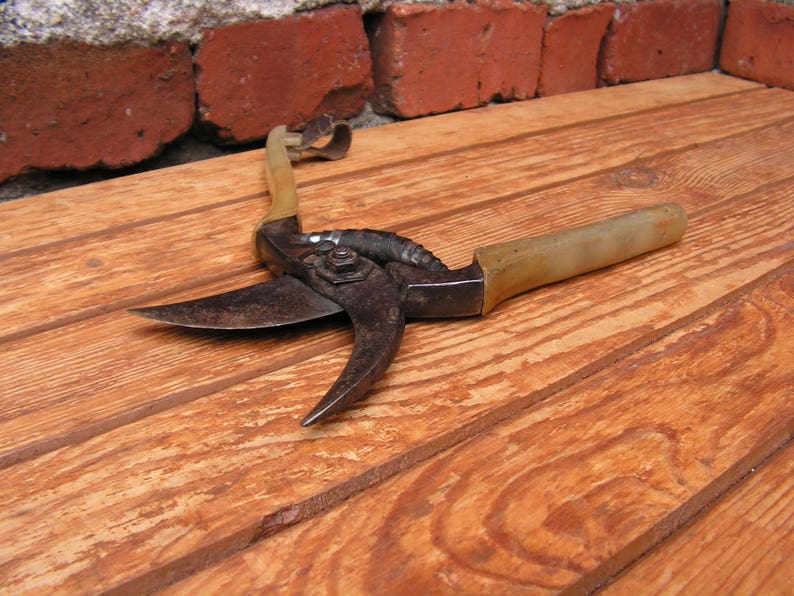 Garden Shears Garden Tools Gardening Tools Gardening Shears Etsy