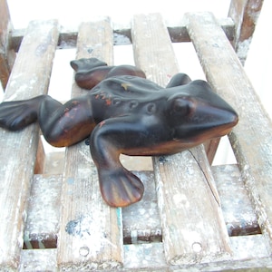 May include: A black frog figurine with a textured surface, sitting on a wooden slatted surface.