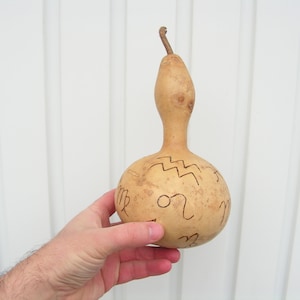 Vintage dried gourd zodiac signs Hollow pumpkin with seeds Gourd calabash Zodiac Gourd with handle Garden decoration Rustic home decor