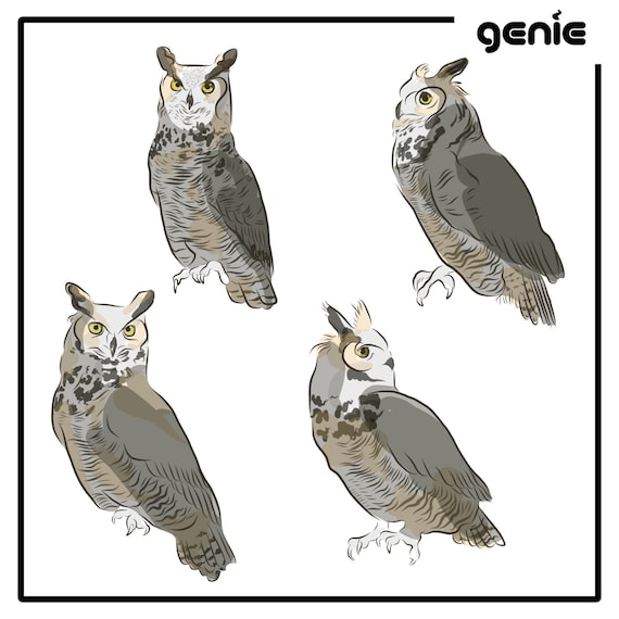 Great Horned Owl Bird Vector Graphic Illustration Hand Drawn