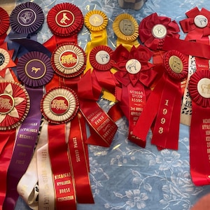 Vintage Appaloosa spotted equestrian Paris winx horse ribbon prize altered arts show award western Michigan stable indigenous many colors
