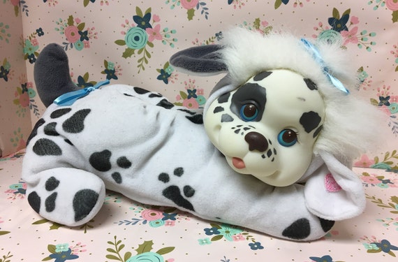 puppy surprise