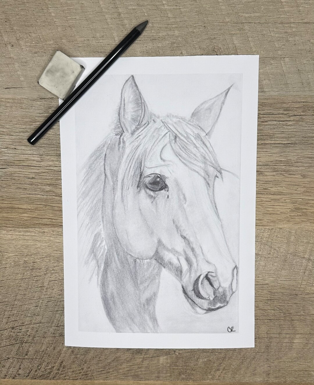 Graphite Horse Drawing, Horse Drawing Giclée Print, Equine Drawing