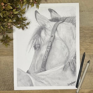 Graphite Horse Drawing, Horse Drawing Giclée Print, Equine Drawing, Pencil Horse Drawing, Pencil Horse Art, &quot;Walker&quot;