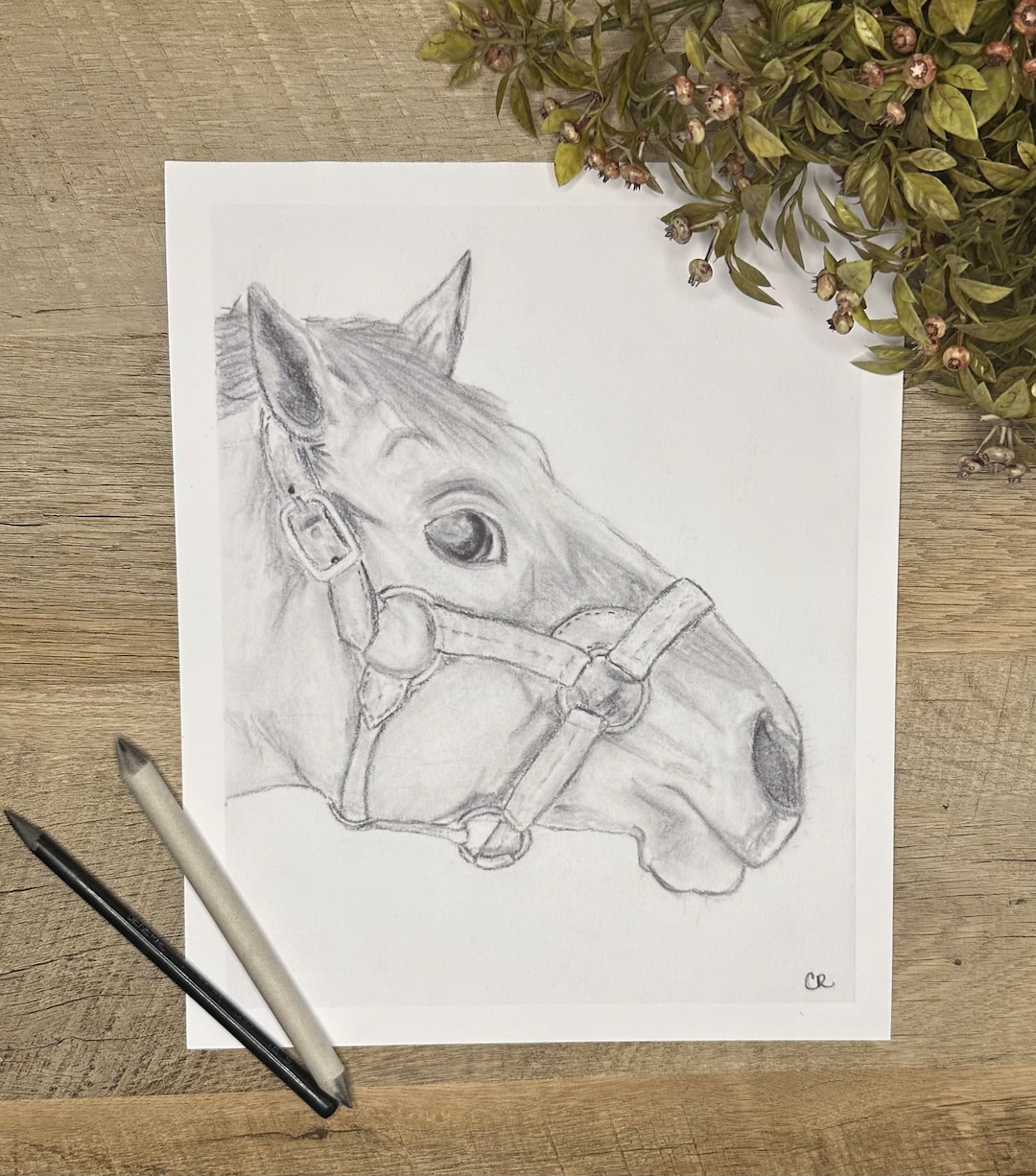 Graphite Horse Drawing, Horse Drawing Giclée Print, Equine Drawing