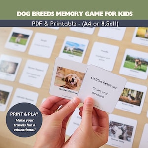 Può includere: Un gioco di memoria sulle razze canine per bambini. L'immagine mostra una carta Golden Retriever con il testo "Intelligente e devoto". Il gioco include carte con foto e descrizioni delle razze canine. Il gioco è progettato per rendere i viaggi divertenti ed educativi.