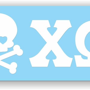 Chi Omega Skull and Cross bones Decal with Letter Decal for  Cars, Sorority Owl Sticker - Skull 1019-C146E0-110323 - Owl 1019-D59F05-080624