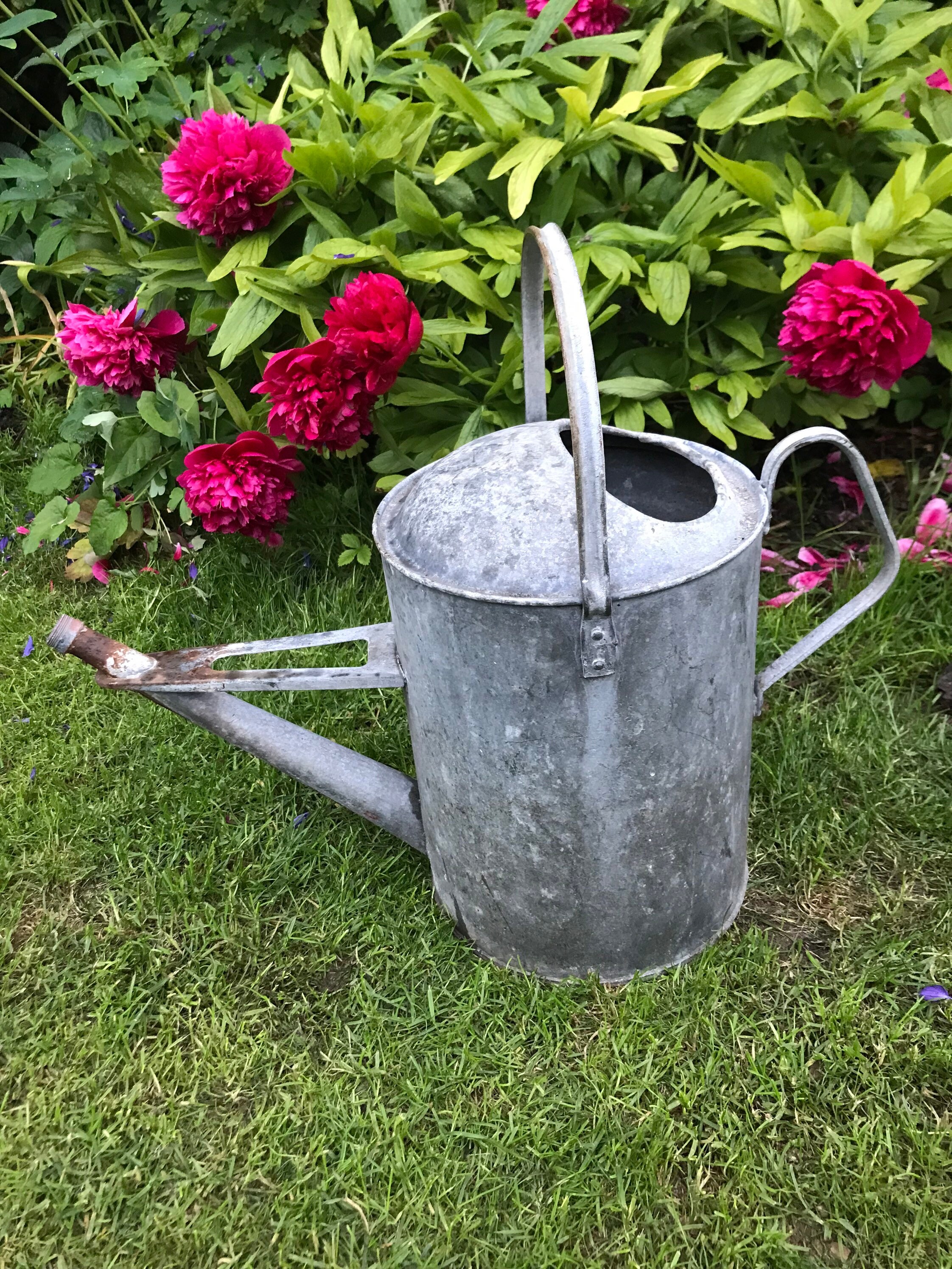 Vintage watering can ideal as a planter or prop small hole