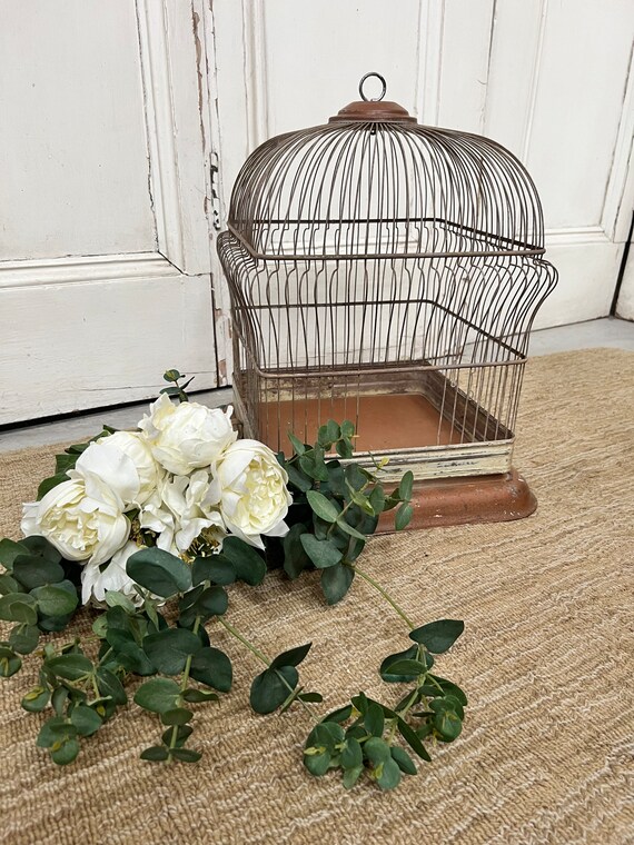 Vintage Bird Cage Plant Holder Etsy