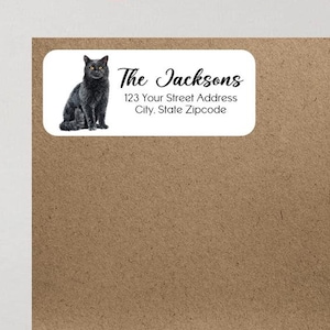 Cat Kitten Cats Pets Animals Return Address Labels Personalized Custom - We Print and Mail to You!