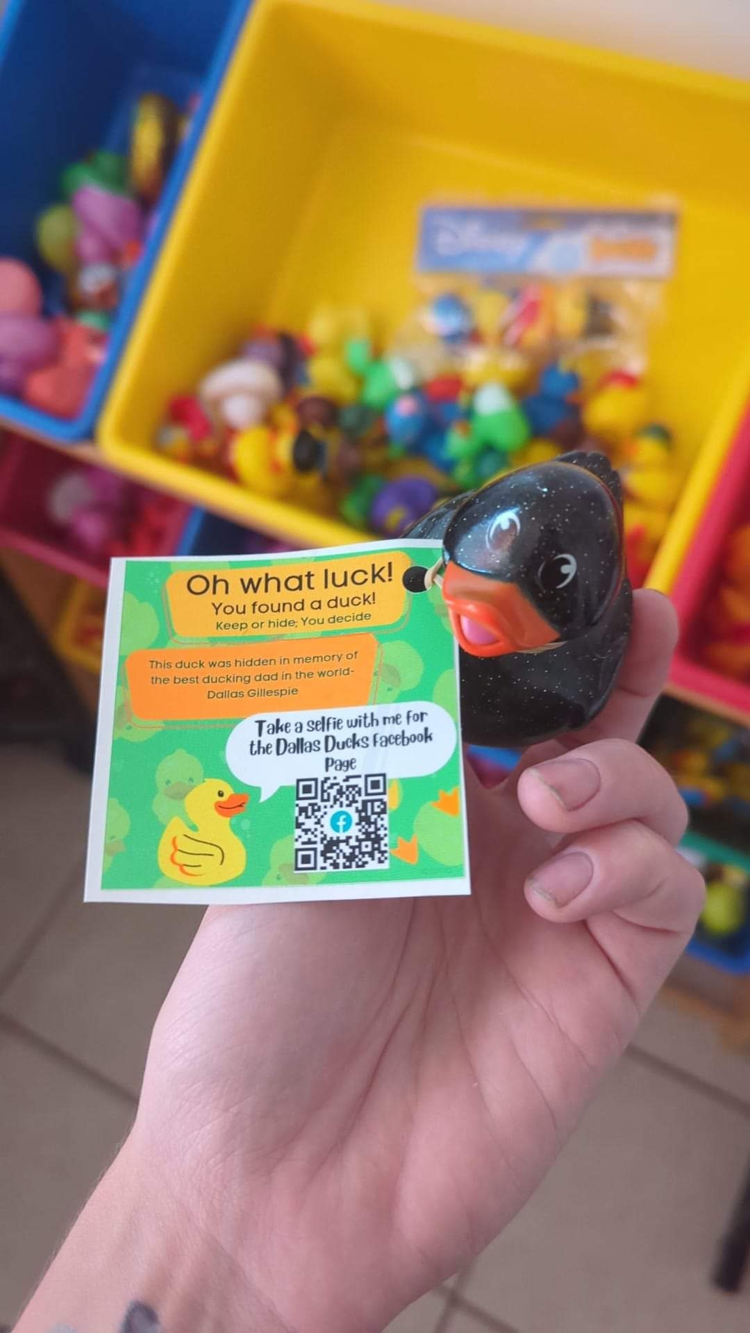 Dallas Ducks Bag of 10 Etsy