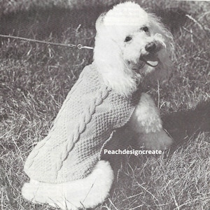 May include: A white poodle wearing a knitted dog sweater with a cable knit pattern. The sweater is a light brown color and has a scalloped edge. The dog is standing on a bed of grass.