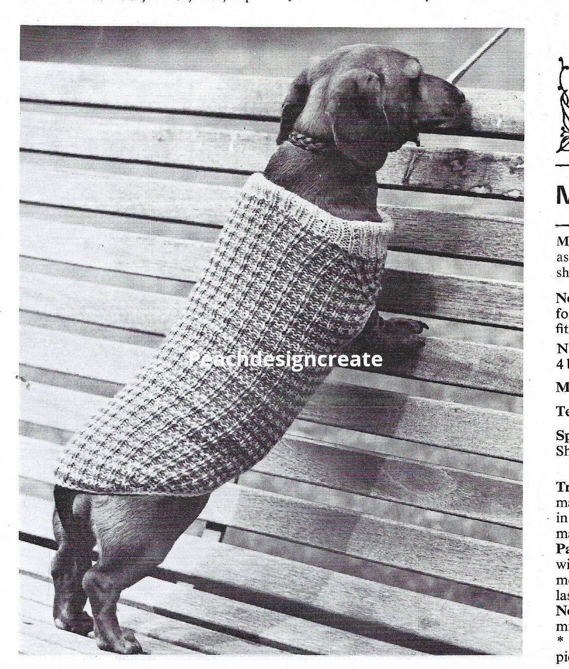 PDF Knitting Pattern Dachshund Dog Coat Jacket Sausage Dog Etsy