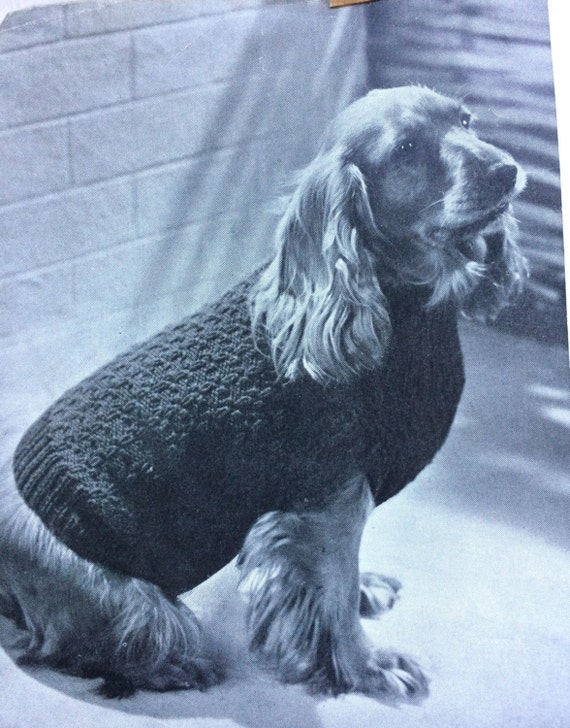 Knitting Pattern Dog Winter Coat Dogs Accessories Dogs Coats Dog Pet Gifts Pets Knitting Instant Download PDF Four Sizes Etsy Canada