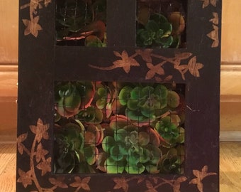 Sukkulenten Pflanzer Diy Garten Wand Box Saftig Geschenk Etsy