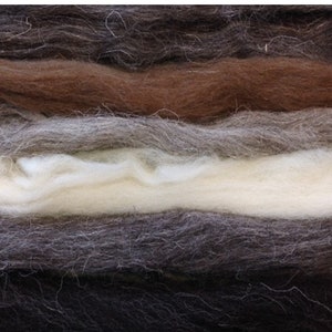 Natural sheep wool rovings - mixed pack of heritage breeds in browns, greys, white, and black