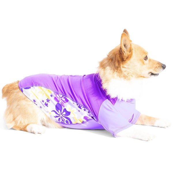 Dog Sun Shirt | UPF 50+ Sun Protection Rash Guard T-Shirt | Reef Safe | Made in USA | Uva