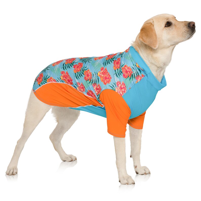 Dog Sun Shirt UPF 50 Sun Protection Rash Guard Tshirt Etsy