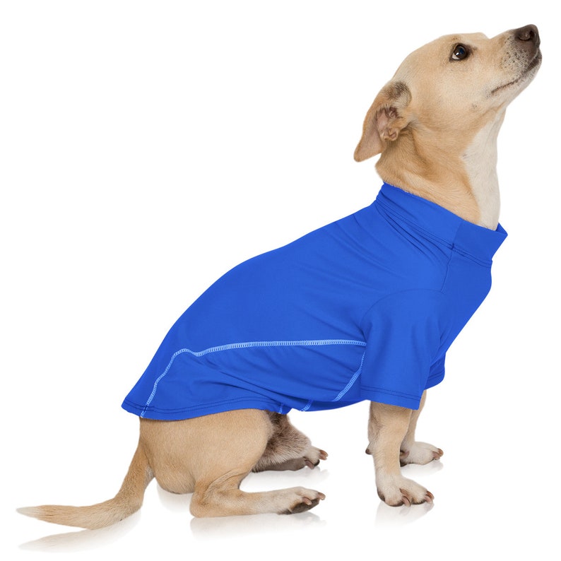 Dog Sun Shirt UPF 50 Sun Protection Rash Guard TShirt Etsy