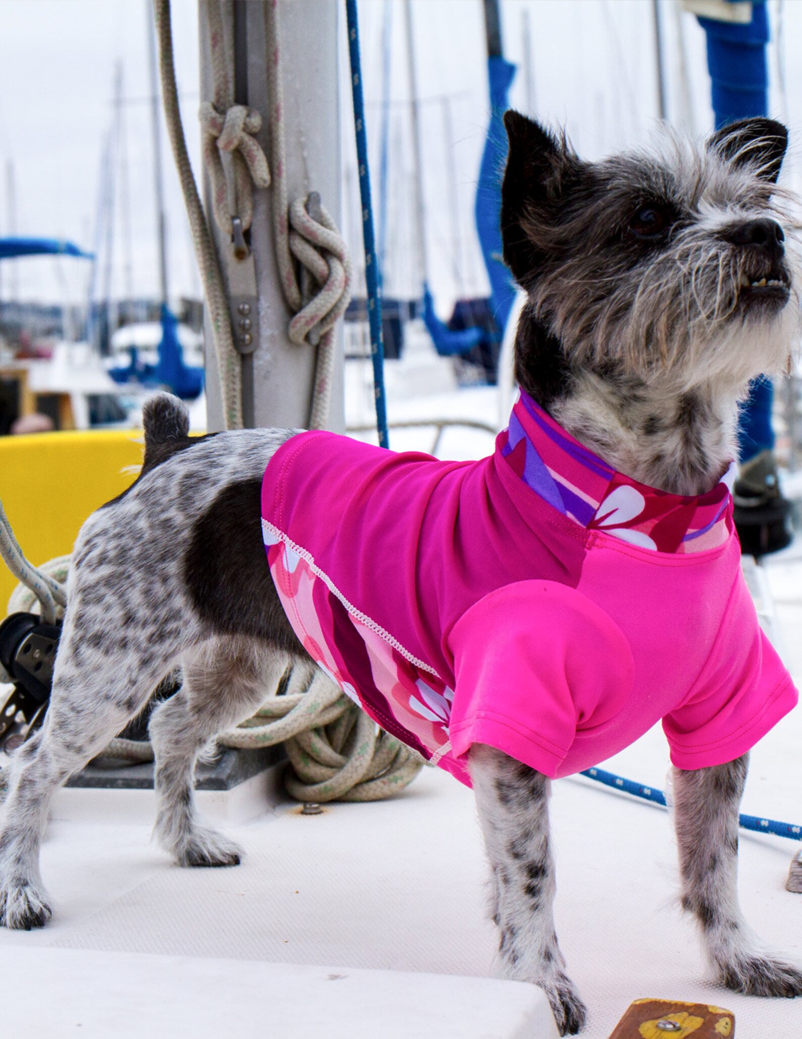 Dog Sun Shirt Custom Pick Your Colors Dog Swim Shirt UPF Etsy