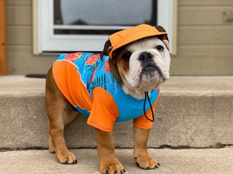 Dog Sun Shirt Custom Pick Your Colors Dog Swim Shirt UPF Etsy