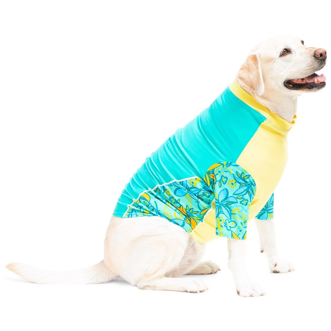 Dog Sun Shirt UPF 50 Sun Protection Rash Guard Tshirt Etsy