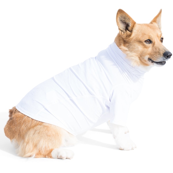 Dog Sun Shirt | UPF 50+ Sun Protection Rash Guard T-Shirt | Reef Safe | Made in USA | White