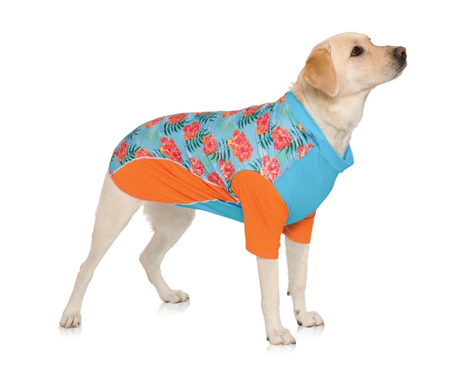 Dog Sun Shirt UPF 50 Sun Protection Rash Guard Tshirt Etsy