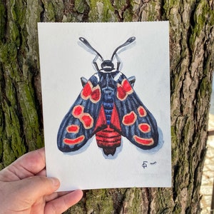 acquerello farfalla dipinto, opera d&#39;arte originale insetto, illustrazione scientifica, entomologia scienza dono