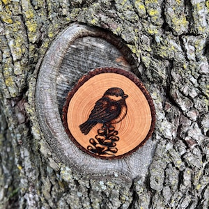cute wooden coaster, handmade coaster lover gift, wood burning art, ornithology science teacher student gift, bird watcher gift