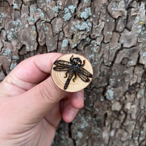 Dragonfly brooch wood burned, insect jewelry, entomology science gift, women summer jewelry, nature inspired jewellery