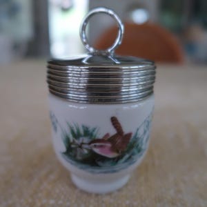 Vintage Royal Worcester Egg Coddler Bird Pattern Made in England