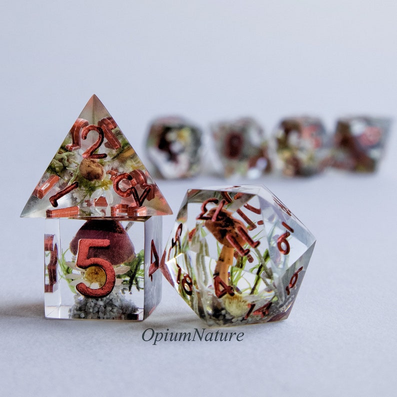 May include: A set of six clear resin dice with red numbers and embedded dried flowers and mushrooms. The dice are in various shapes, including a pyramid, a cube, and a dodecahedron.